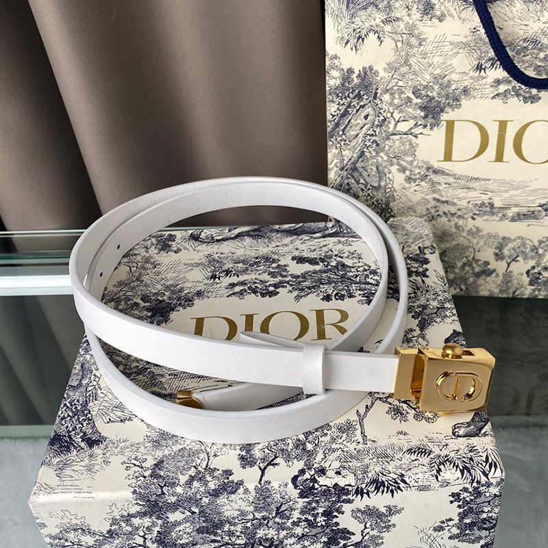 Diorpolytechnique Belt Smooth Calfskin White/Gold